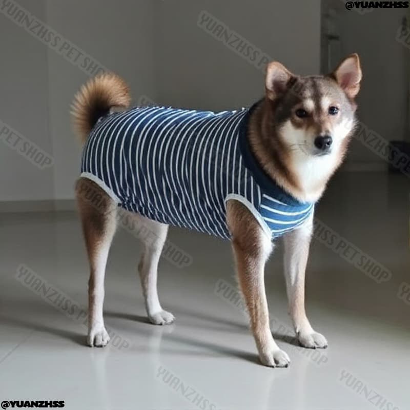 ชุดการกู้คืน Post-Surgery - การออกแบบ 4 ขายืดหยุ่นสูงสําหรับสุนัข Neutered | ใส่สัตว์เลี้ยงทางการแพทย์ระบายอากาศ รูปที่ 5