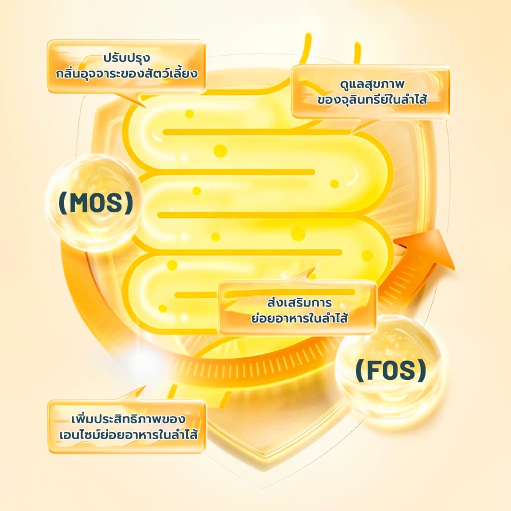 Bite Of Wild B45 อาหารแมวอบช้า 4 กก. ทูน่าแมว Kibbles 45% เนื้อสูง Grain-Free Makan Kucing, เหมาะสําหรับลูกแมวและแมวโต รูปที่ 5