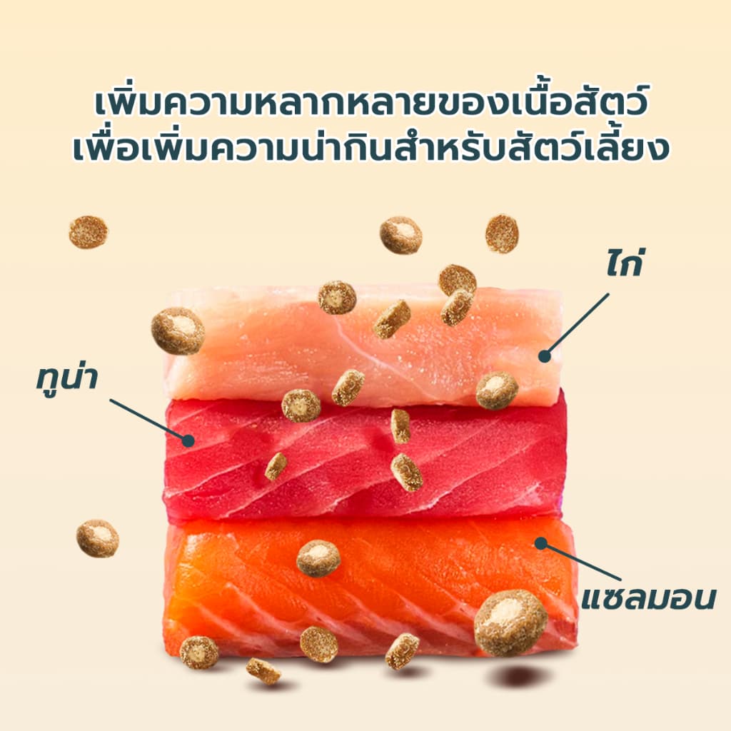 Bite Of Wild B45 อาหารแมวอบช้า 4 กก. ทูน่าแมว Kibbles 45% เนื้อสูง Grain-Free Makan Kucing, เหมาะสําหรับลูกแมวและแมวโต รูปที่ 3