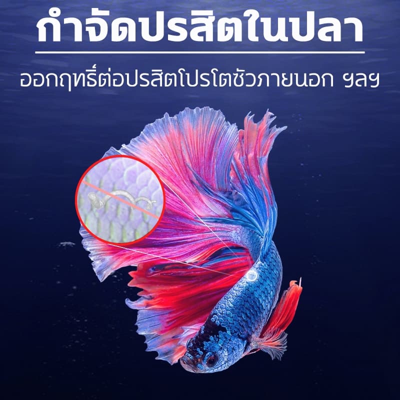Yajialan Solution Aquarium Water Regulator ฆ่าเชื้อ Yajilan Yajia ปรับปรุงพิพิธภัณฑ์สัตว์น้ําคุณภาพ 235ml รูปที่ 6