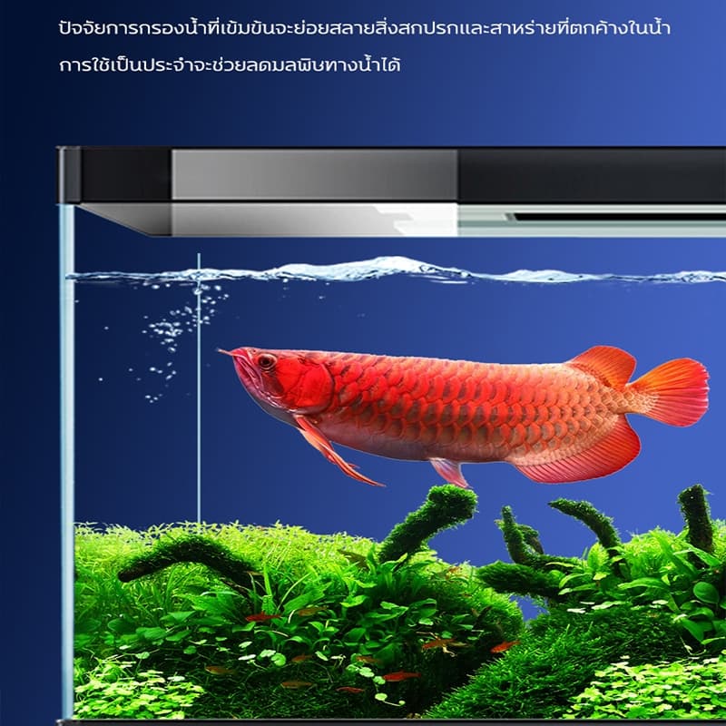 Yajialan Solution Aquarium Water Regulator ฆ่าเชื้อ Yajilan Yajia ปรับปรุงพิพิธภัณฑ์สัตว์น้ําคุณภาพ 235ml รูปที่ 8