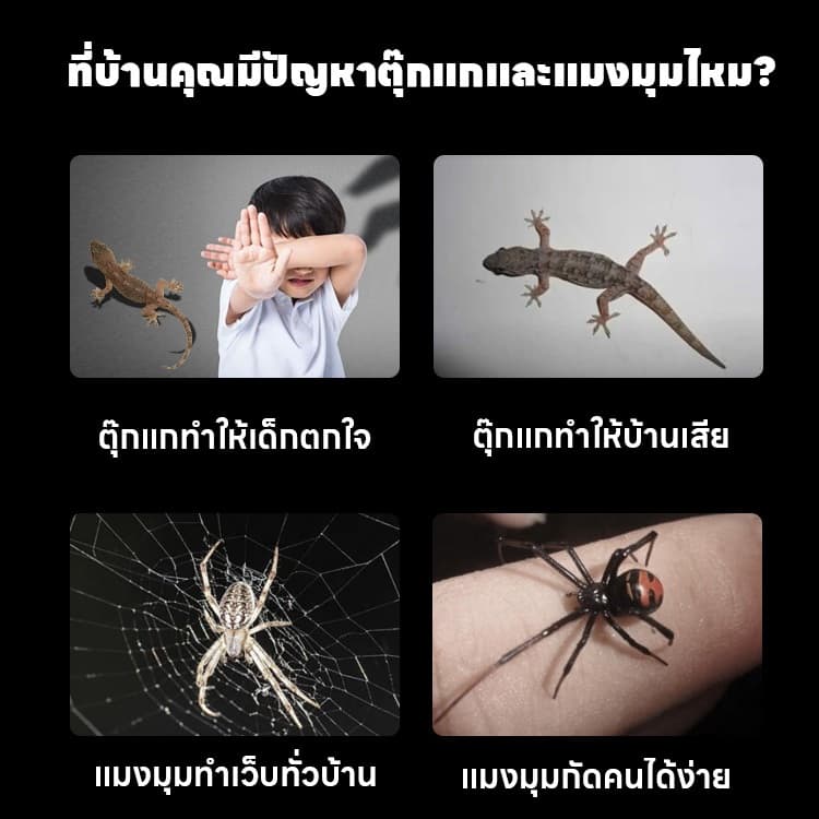 ใช้ครั้งเดียวเห็นผล 10 ปี ไล่จิ้งจก ไล่ตุ๊กแก ฆ่าตุ๊กแก กำจัดตุ๊กแกอย่างปลอดภัย ปลอดภัยต่อแม่และลูก ไร้เสียง รูปที่ 7