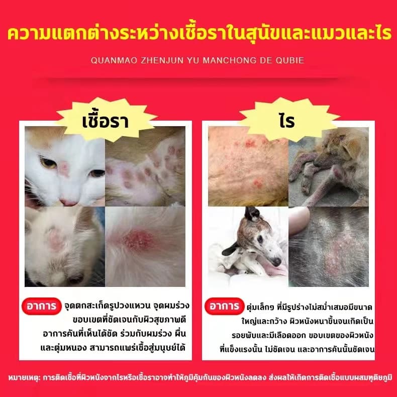 ขวดเดียว เอาอยู่! แก้ปัญหาผิวหนังสัตว์เลี้ยงได้ 99%NANA สเปรย์ผิวหนังสัตว์เลี้ยง ขี้เรื้อน เรื้อน แผลสุนัข ใช้ได้ทั้งสุนัข แมว และสัตว์เลี้ยงอื่น ๆ รูปที่ 3