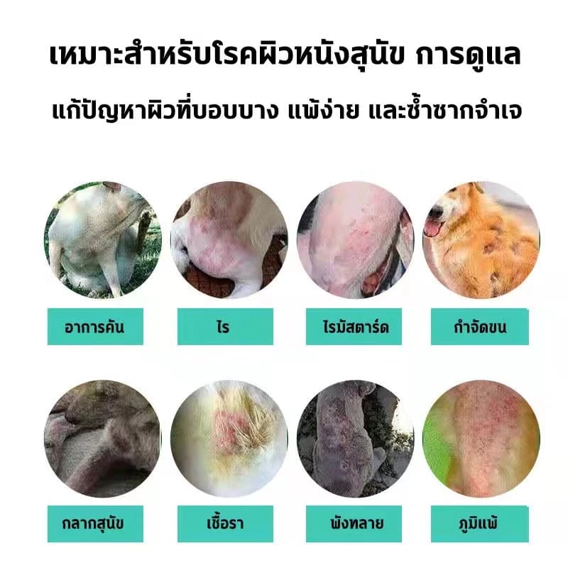 ขวดเดียว เอาอยู่! แก้ปัญหาผิวหนังสัตว์เลี้ยงได้ 99%NANA สเปรย์ผิวหนังสัตว์เลี้ยง ขี้เรื้อน เรื้อน แผลสุนัข ใช้ได้ทั้งสุนัข แมว และสัตว์เลี้ยงอื่น ๆ รูปที่ 5