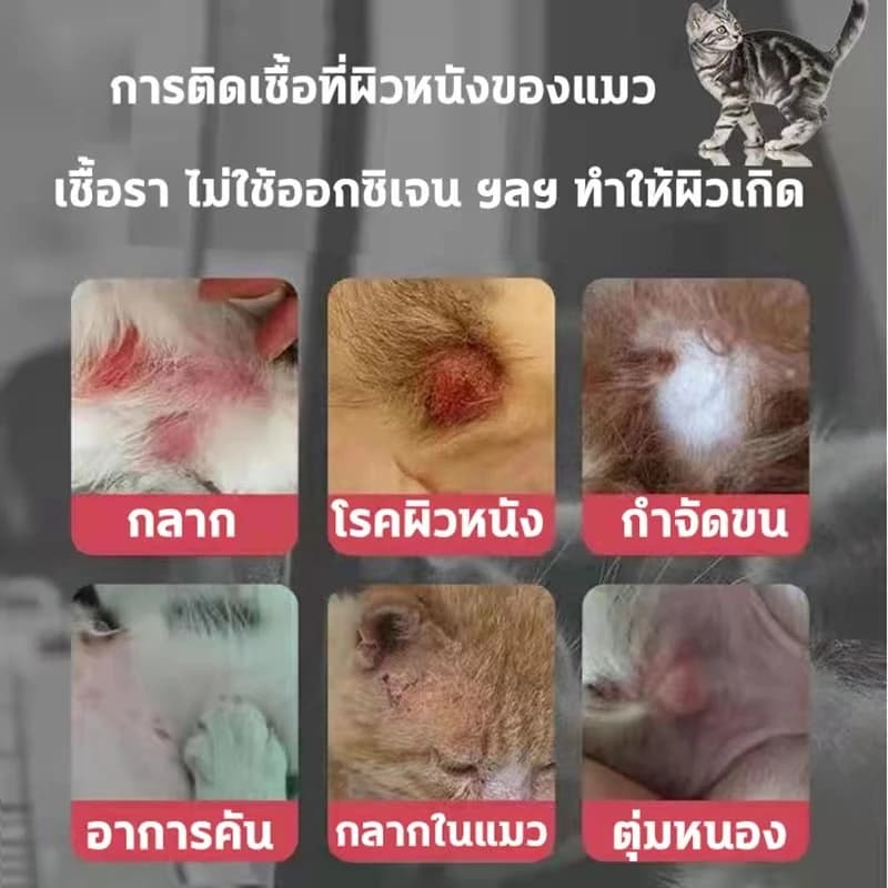 ขวดเดียว เอาอยู่! แก้ปัญหาผิวหนังสัตว์เลี้ยงได้ 99%NANA สเปรย์ผิวหนังสัตว์เลี้ยง ขี้เรื้อน เรื้อน แผลสุนัข ใช้ได้ทั้งสุนัข แมว และสัตว์เลี้ยงอื่น ๆ รูปที่ 2