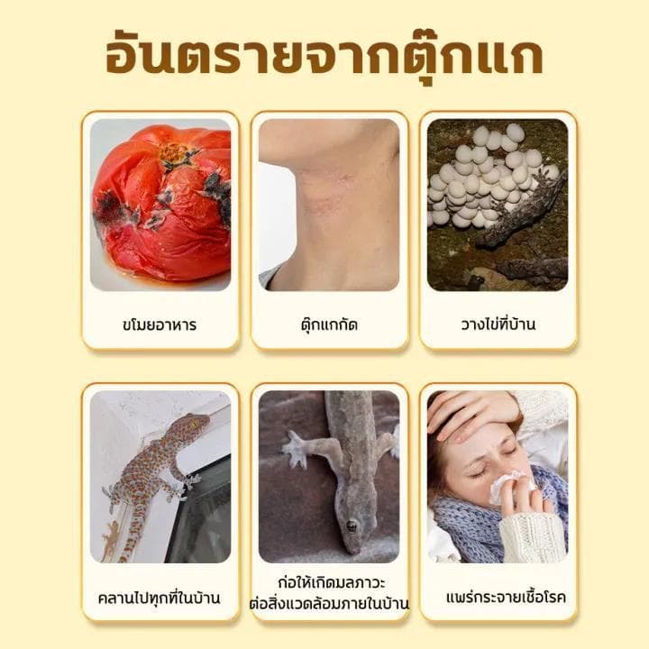ใช้ครั้งเดียวเห็นผล 10 ปี ไล่จิ้งจก ไล่ตุ๊กแก ฆ่าตุ๊กแก กำจัดตุ๊กแกอย่างปลอดภัย ปลอดภัยต่อแม่และลูก ไร้เสียง รูปที่ 2
