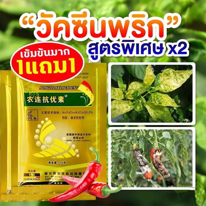 ซื้อ 1 แถม 1 วัคซีนพืช ป้องกัน พริกเน่า โรคกุ้งแห้ง ผลไม้เน่า รากเน่า ใบหงิก ใบเหลือง โรคพริก เชื้อรา ไวรัส รูปที่ 1