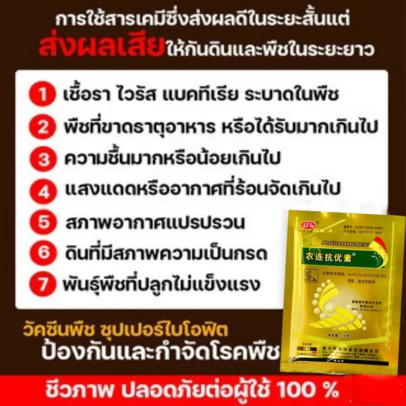 ซื้อ 1 แถม 1 วัคซีนพืช ป้องกัน พริกเน่า โรคกุ้งแห้ง ผลไม้เน่า รากเน่า ใบหงิก ใบเหลือง โรคพริก เชื้อรา ไวรัส รูปที่ 2