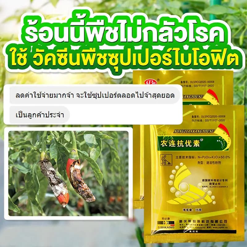 ซื้อ 1 แถม 1 วัคซีนพืช ป้องกัน พริกเน่า โรคกุ้งแห้ง ผลไม้เน่า รากเน่า ใบหงิก ใบเหลือง โรคพริก เชื้อรา ไวรัส รูปที่ 3