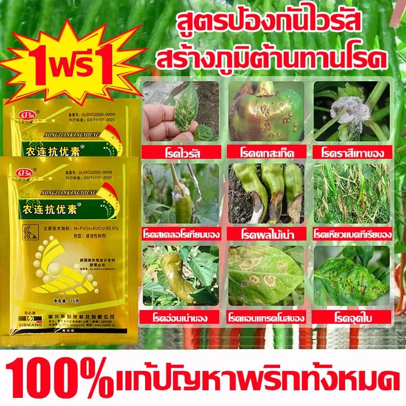 ซื้อ 1 แถม 1 วัคซีนพืช ป้องกัน พริกเน่า โรคกุ้งแห้ง ผลไม้เน่า รากเน่า ใบหงิก ใบเหลือง โรคพริก เชื้อรา ไวรัส รูปที่ 9