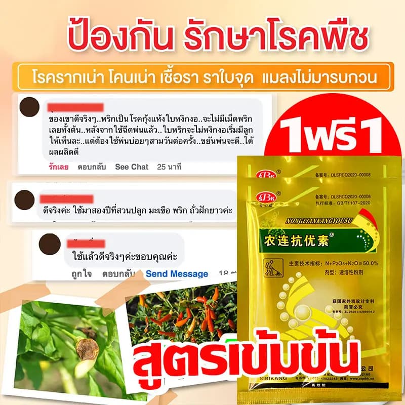 ซื้อ 1 แถม 1 วัคซีนพืช ป้องกัน พริกเน่า โรคกุ้งแห้ง ผลไม้เน่า รากเน่า ใบหงิก ใบเหลือง โรคพริก เชื้อรา ไวรัส รูปที่ 8