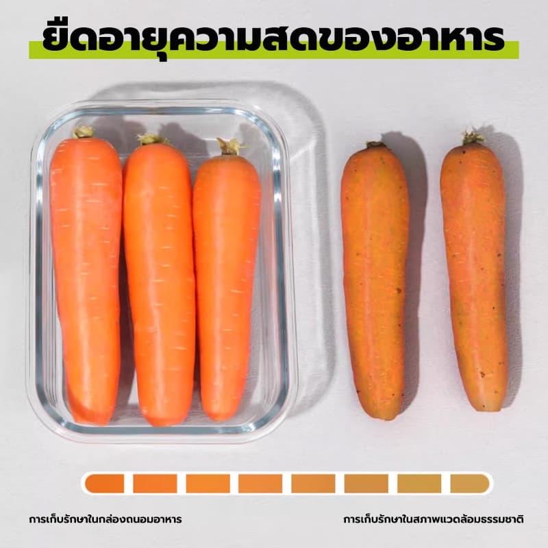GREENIKA กล่องแก้วเก็บอาหาร ถนอมอาหาร ฝาล็อค2ชั้น มีซีลยางกันรั่วซึม ใช้ในตู้เย็นได้และเข้าไมโครเวฟได้ รูปที่ 6