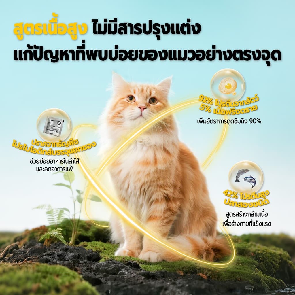 LIVE Bite of Wild อาหารแมว P42 300g Grain Free โปรตีน 42% ผสมฟรีซดราย 3 ชนิด รูปที่ 4