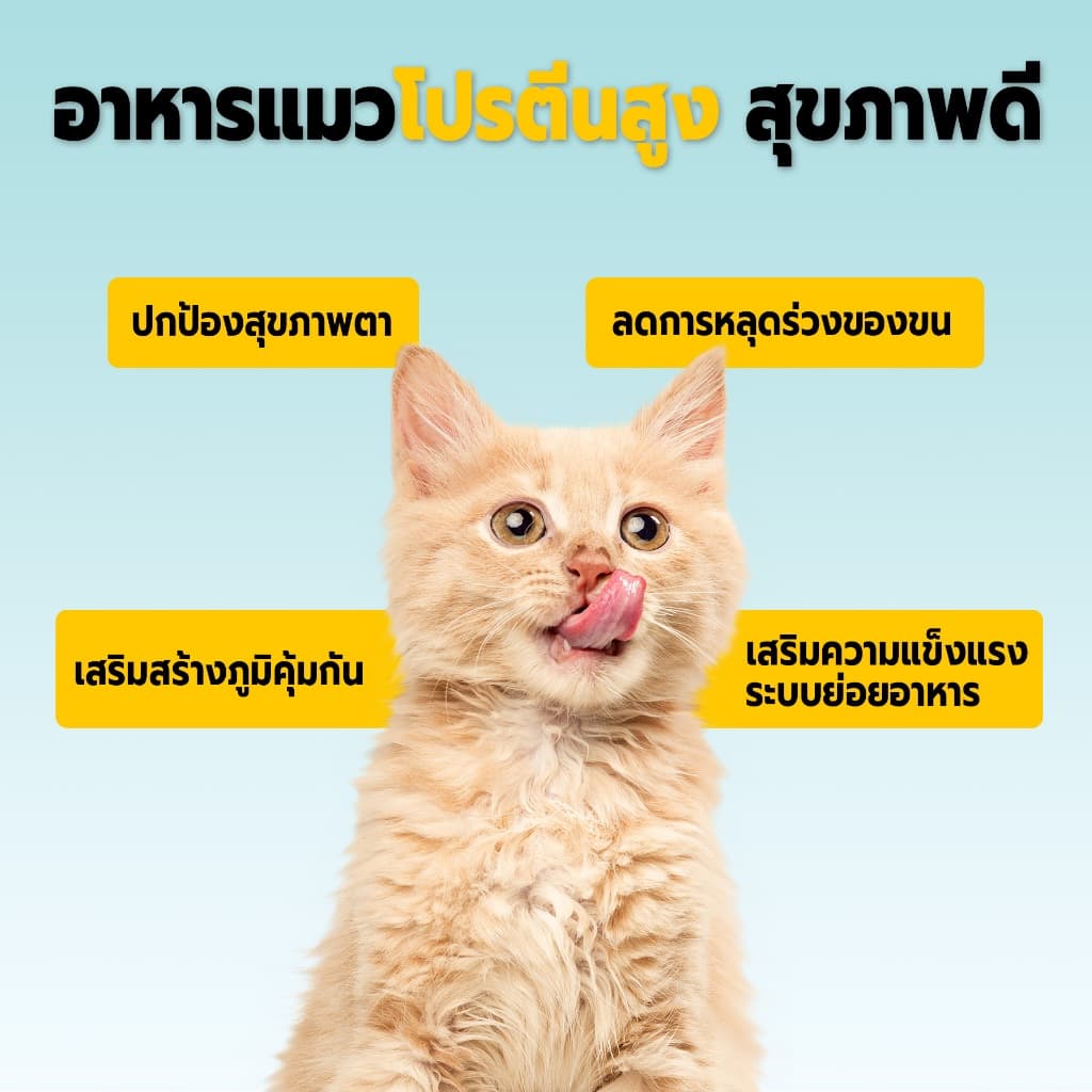 LIVE Bite of Wild อาหารแมว P42 300g Grain Free โปรตีน 42% ผสมฟรีซดราย 3 ชนิด รูปที่ 5
