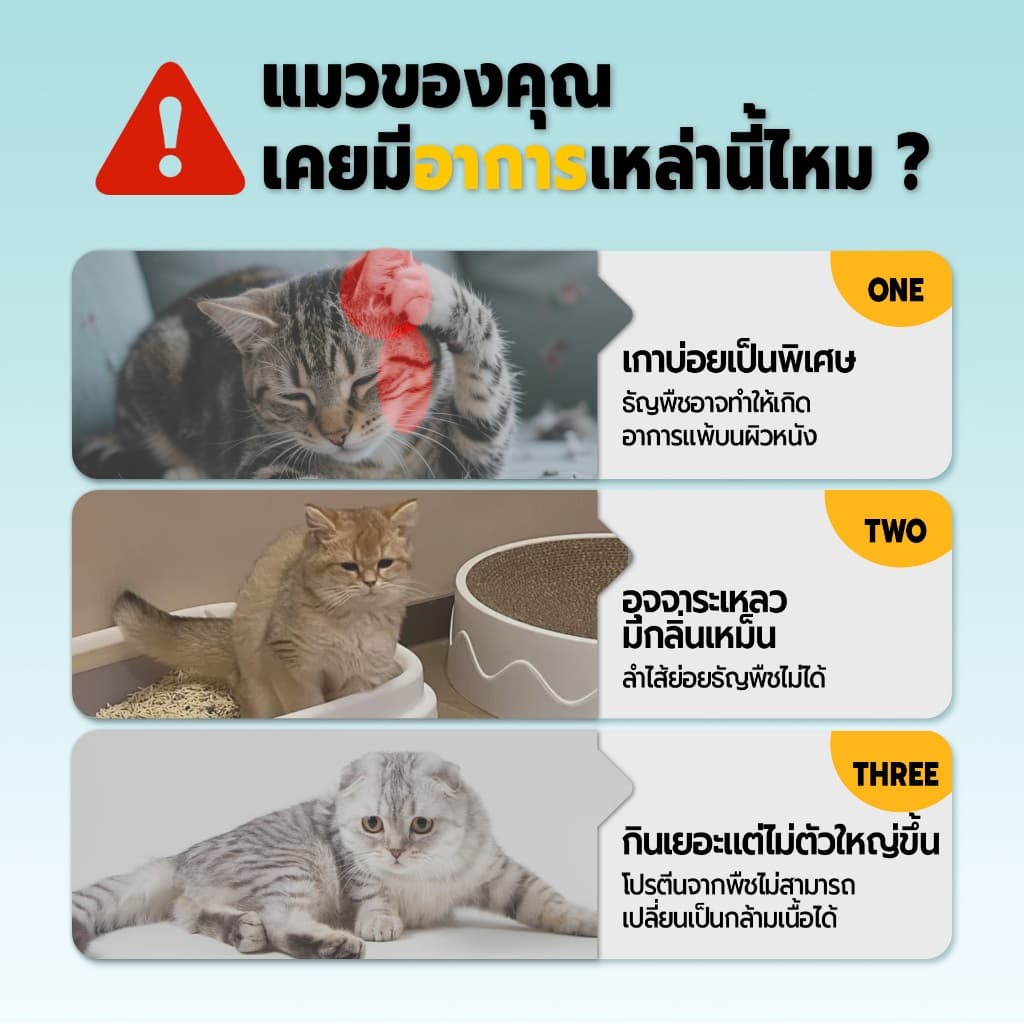 LIVE Bite of Wild อาหารแมว P42 300g Grain Free โปรตีน 42% ผสมฟรีซดราย 3 ชนิด รูปที่ 2