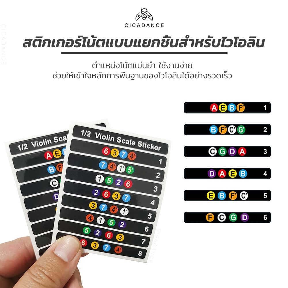 สติกเกอร์ติดเฟรตบอร์ดไวโอลิน ขนาด 1/8-4/4 แบบแยกส่วน พร้อมตำแหน่งนิ้ว ไม่มีกาวตกค้าง ลายพิมพ์สวยงาม Violin Sticker รูปที่ 3