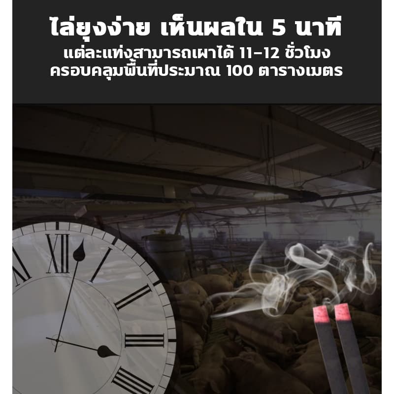 ธูปจัมโบ้ตะไคร้ ไล่ 20 แท่ง 1.2 เมตร เผาไหม้ได้นาน 12 ชั่วโมง ธูปตะไคร้ไล่ยุง กำจัดยุง ฆ่าเชื้อ และขจัดกลิ่น เห็นผลใน 5 นาที ธูปไล่ยุง ธูป กำ จัด ยุง รูปที่ 5