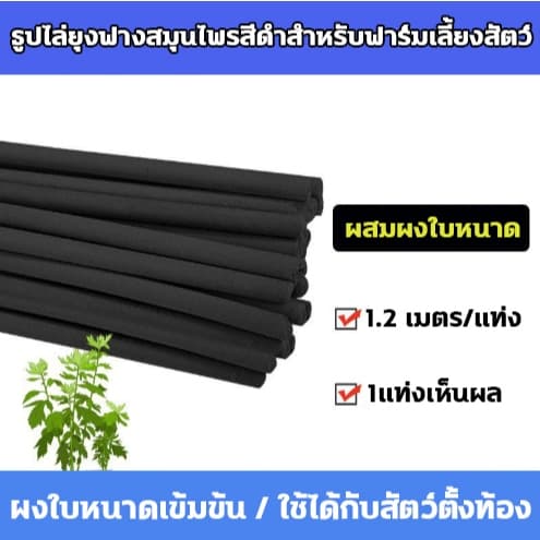 ธูปจัมโบ้ตะไคร้ ไล่ 20 แท่ง 1.2 เมตร เผาไหม้ได้นาน 12 ชั่วโมง ธูปตะไคร้ไล่ยุง กำจัดยุง ฆ่าเชื้อ และขจัดกลิ่น เห็นผลใน 5 นาที ธูปไล่ยุง ธูป กำ จัด ยุง รูปที่ 2
