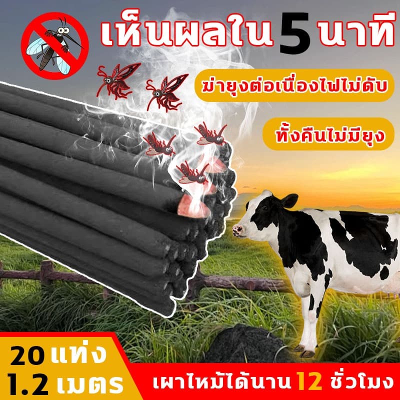 ธูปจัมโบ้ตะไคร้ ไล่ 20 แท่ง 1.2 เมตร เผาไหม้ได้นาน 12 ชั่วโมง ธูปตะไคร้ไล่ยุง กำจัดยุง ฆ่าเชื้อ และขจัดกลิ่น เห็นผลใน 5 นาที ธูปไล่ยุง ธูป กำ จัด ยุง รูปที่ 1