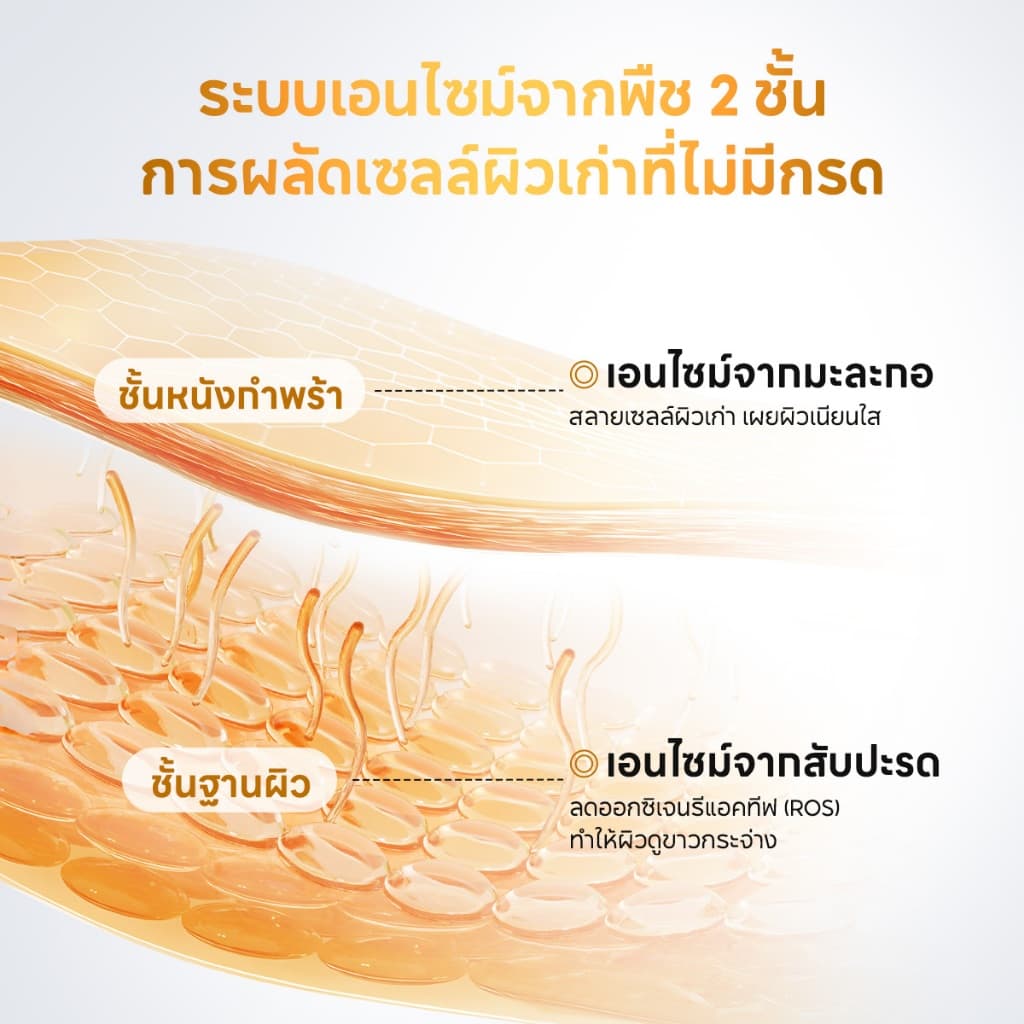 PAPA FEEL 0 Acid Peeling Serum เซรั่มเพื่อการ ผิวกระจ่างใส กระชับรูขุมขน ลดสิว PAPAIN BROMELAIN 8D Hyaluronic Acid essence 30ml รูปที่ 7