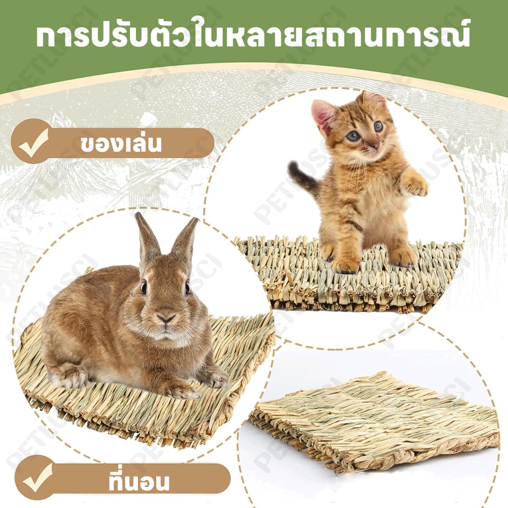 PETLUSCI ที่นอนหญ้าแห้ง ที่นอนทำจากหญ้าแห้งสำหรับกระต่าย สำหรับ กระต่าย แฮมเตอร์ เม่น ดัมโบ้แรท ชินชิล่า รูปที่ 5