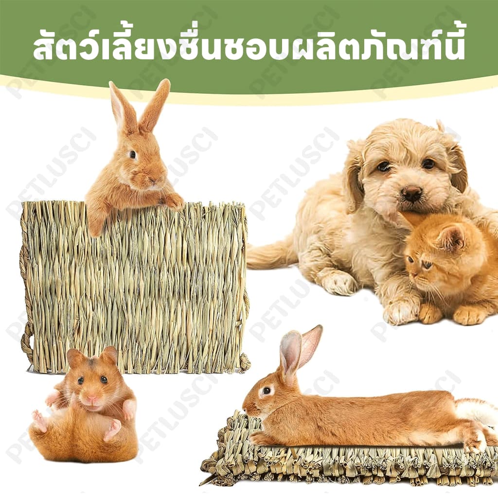 PETLUSCI ที่นอนหญ้าแห้ง ที่นอนทำจากหญ้าแห้งสำหรับกระต่าย สำหรับ กระต่าย แฮมเตอร์ เม่น ดัมโบ้แรท ชินชิล่า รูปที่ 6