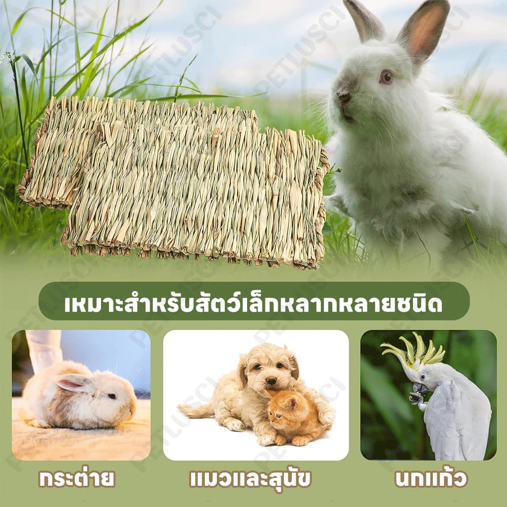 PETLUSCI ที่นอนหญ้าแห้ง ที่นอนทำจากหญ้าแห้งสำหรับกระต่าย สำหรับ กระต่าย แฮมเตอร์ เม่น ดัมโบ้แรท ชินชิล่า รูปที่ 4
