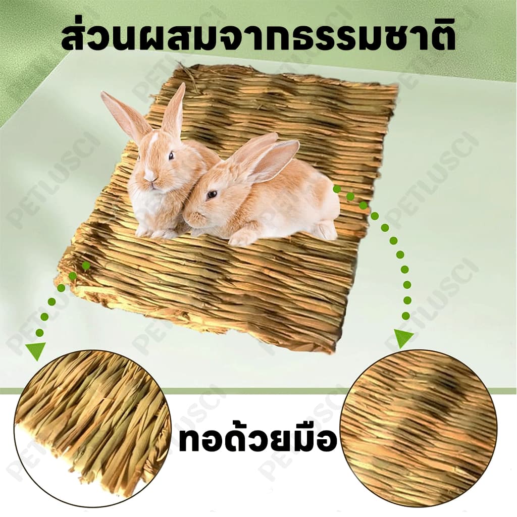 PETLUSCI ที่นอนหญ้าแห้ง ที่นอนทำจากหญ้าแห้งสำหรับกระต่าย สำหรับ กระต่าย แฮมเตอร์ เม่น ดัมโบ้แรท ชินชิล่า รูปที่ 3