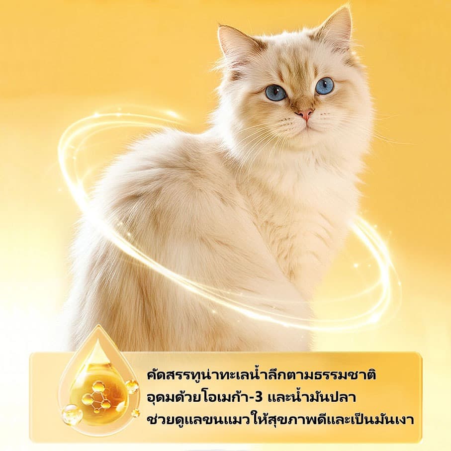อาหารเปียกแมวกระป๋อง บำรุง เนื้อเด้ง สูตร ไก่ เนื้อวัว ทูน่า สุดคุ้ม 400g ยกลัง 6 กระป๋อง รูปที่ 6