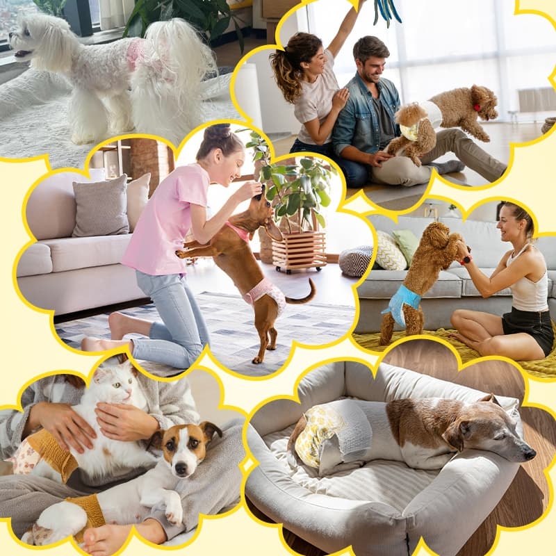 ผ้าอ้อมสําเร็จรูปแบบดูดซับ Dono สําหรับสุนัขขนาดเล็ก Cats Secure Leak Proof Fit for Females & Males ผ้าอ้อม รูปที่ 9
