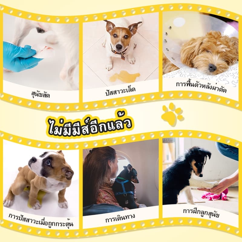 ผ้าอ้อมสําเร็จรูปแบบดูดซับ Dono สําหรับสุนัขขนาดเล็ก Cats Secure Leak Proof Fit for Females & Males ผ้าอ้อม รูปที่ 8