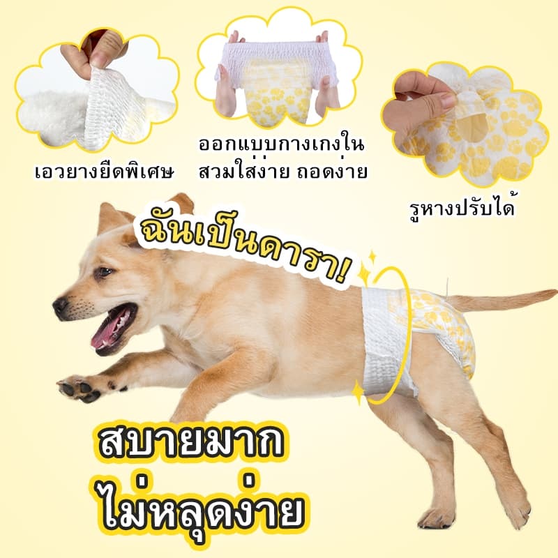 ผ้าอ้อมสําเร็จรูปแบบดูดซับ Dono สําหรับสุนัขขนาดเล็ก Cats Secure Leak Proof Fit for Females & Males ผ้าอ้อม รูปที่ 7