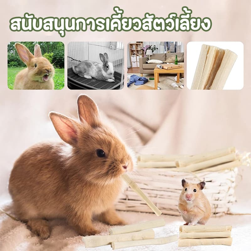 ไม้ไผ่หวาน ไม้แอปเปิ้ล 1kgขนมลับฟัน ธรรมชาติ สำหรับ กระต่าย เม่นแคระ หนูแฮมเตอร์ และสัตว์ฟันแทะอื่น รูปที่ 6