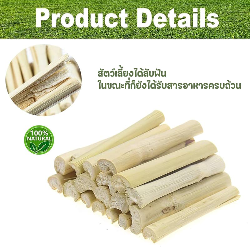 ไม้ไผ่หวาน ไม้แอปเปิ้ล 1kgขนมลับฟัน ธรรมชาติ สำหรับ กระต่าย เม่นแคระ หนูแฮมเตอร์ และสัตว์ฟันแทะอื่น รูปที่ 8