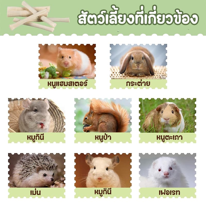 ไม้ไผ่หวาน ไม้แอปเปิ้ล 1kgขนมลับฟัน ธรรมชาติ สำหรับ กระต่าย เม่นแคระ หนูแฮมเตอร์ และสัตว์ฟันแทะอื่น รูปที่ 4