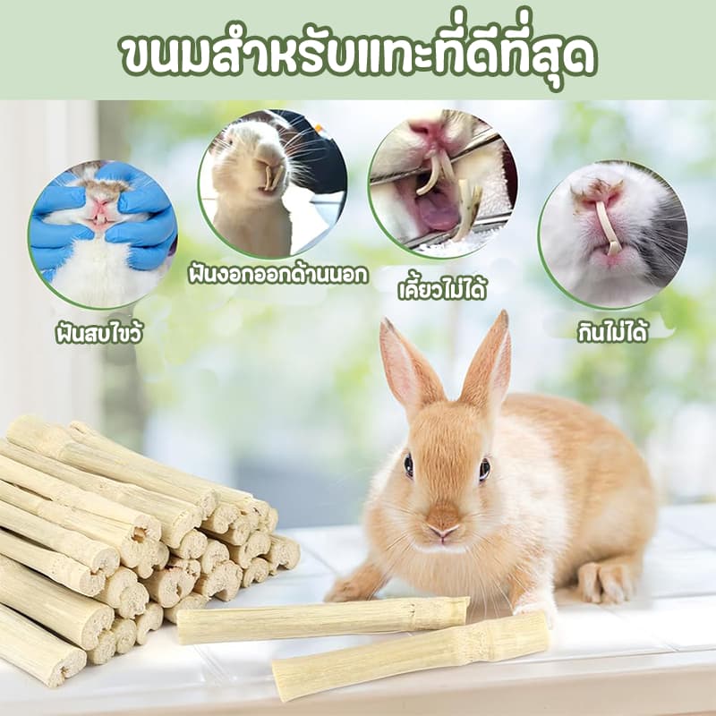 ไม้ไผ่หวาน ไม้แอปเปิ้ล 1kgขนมลับฟัน ธรรมชาติ สำหรับ กระต่าย เม่นแคระ หนูแฮมเตอร์ และสัตว์ฟันแทะอื่น รูปที่ 5