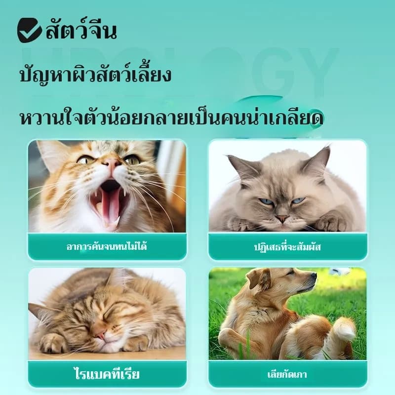 ผลิตภัณฑ์ดูแลผิวหนังสัตว์เลี้ยง | ช่วยดูแลผิวที่ระคายเคือง คัน และขนร่วง | มีเม็ดผสมรสเนื้อ ทานง่าย | สต็อกไทย ราคาคุ้มค่า รูปที่ 3