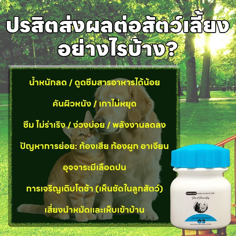 ต้องมี! คนเลี้ยงสัตว์ PST ถ่ายพยาธิ กำจัดพยาธิ พยาธิตัวกลม พยาธิตัวตืด ซื้อ 2 แถม 1 พยาธิแส้ม้า พยาธิปากขอ ขวดหนึ่งมี 100 เม็ด สร้างภูมิต้านเชื้อ รูปที่ 2