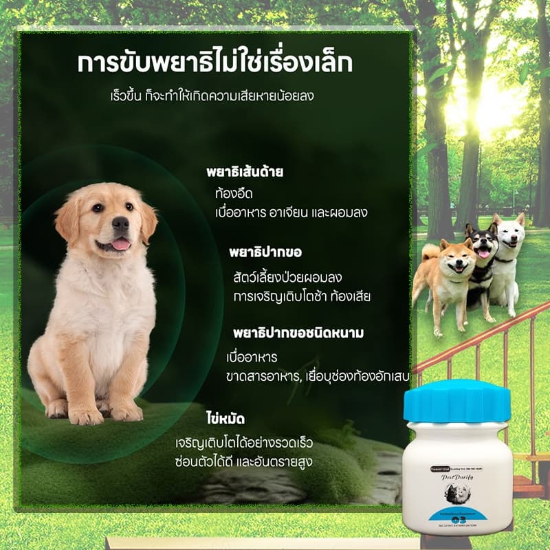 ต้องมี! คนเลี้ยงสัตว์ PST ถ่ายพยาธิ กำจัดพยาธิ พยาธิตัวกลม พยาธิตัวตืด ซื้อ 2 แถม 1 พยาธิแส้ม้า พยาธิปากขอ ขวดหนึ่งมี 100 เม็ด สร้างภูมิต้านเชื้อ รูปที่ 3