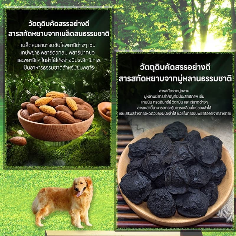ต้องมี! คนเลี้ยงสัตว์ PST ถ่ายพยาธิ กำจัดพยาธิ พยาธิตัวกลม พยาธิตัวตืด ซื้อ 2 แถม 1 พยาธิแส้ม้า พยาธิปากขอ ขวดหนึ่งมี 100 เม็ด สร้างภูมิต้านเชื้อ รูปที่ 4