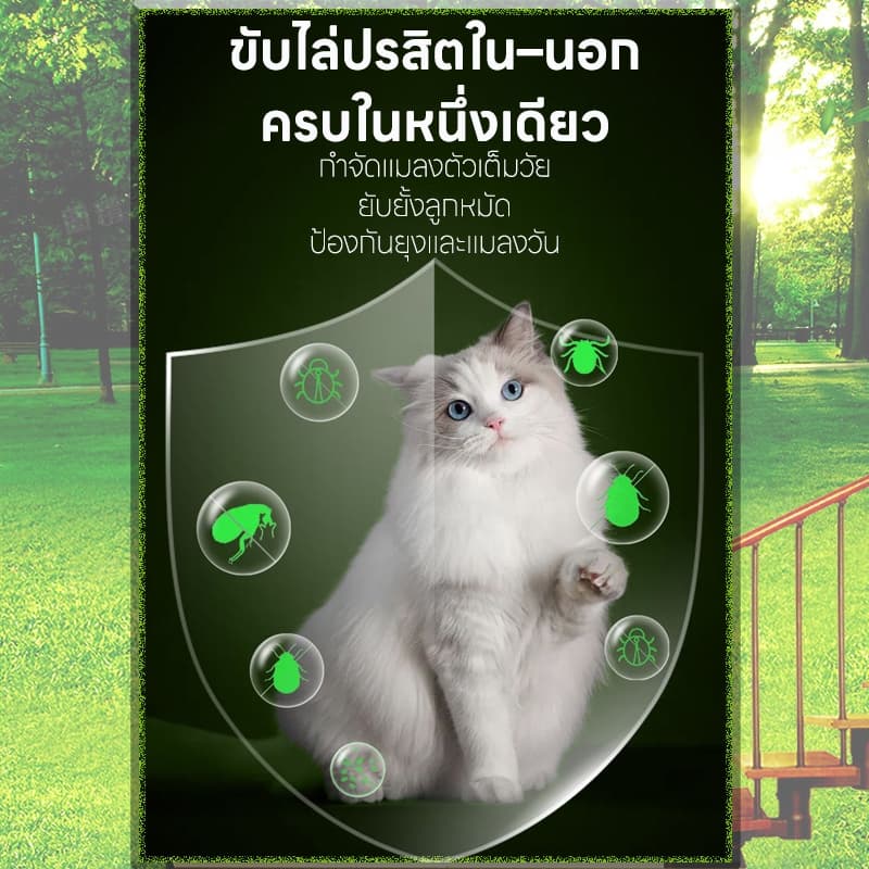 ต้องมี! คนเลี้ยงสัตว์ PST ถ่ายพยาธิ กำจัดพยาธิ พยาธิตัวกลม พยาธิตัวตืด ซื้อ 2 แถม 1 พยาธิแส้ม้า พยาธิปากขอ ขวดหนึ่งมี 100 เม็ด สร้างภูมิต้านเชื้อ รูปที่ 5