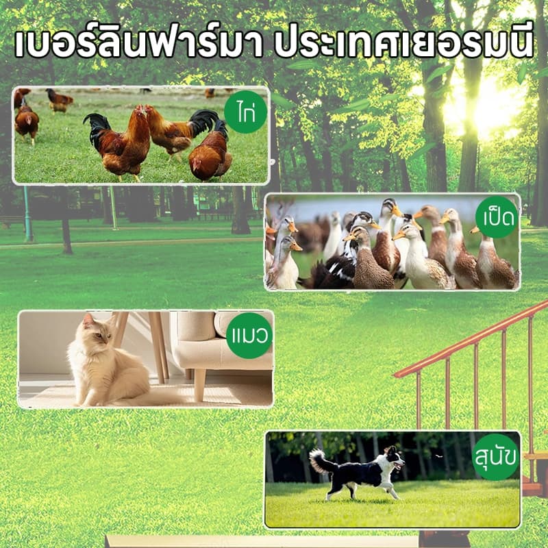ต้องมี! คนเลี้ยงสัตว์ PST ถ่ายพยาธิ กำจัดพยาธิ พยาธิตัวกลม พยาธิตัวตืด ซื้อ 2 แถม 1 พยาธิแส้ม้า พยาธิปากขอ ขวดหนึ่งมี 100 เม็ด สร้างภูมิต้านเชื้อ รูปที่ 7