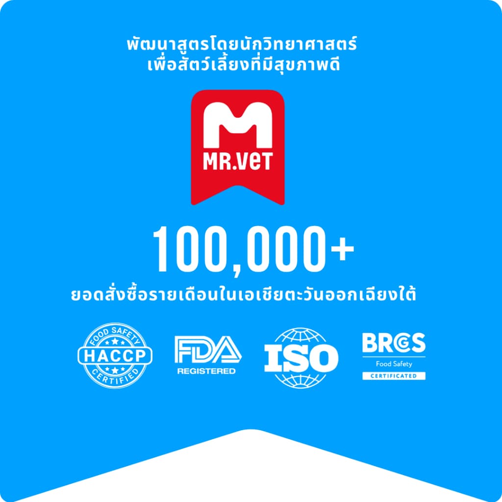 MrVet D1 อาหารสุนัข 50G อาหารสุนัขที่มีคุณค่าทางโภชนาการครบถ้วนสําหรับย่อยอาหารและการดูดซึมที่ดี รูปที่ 7