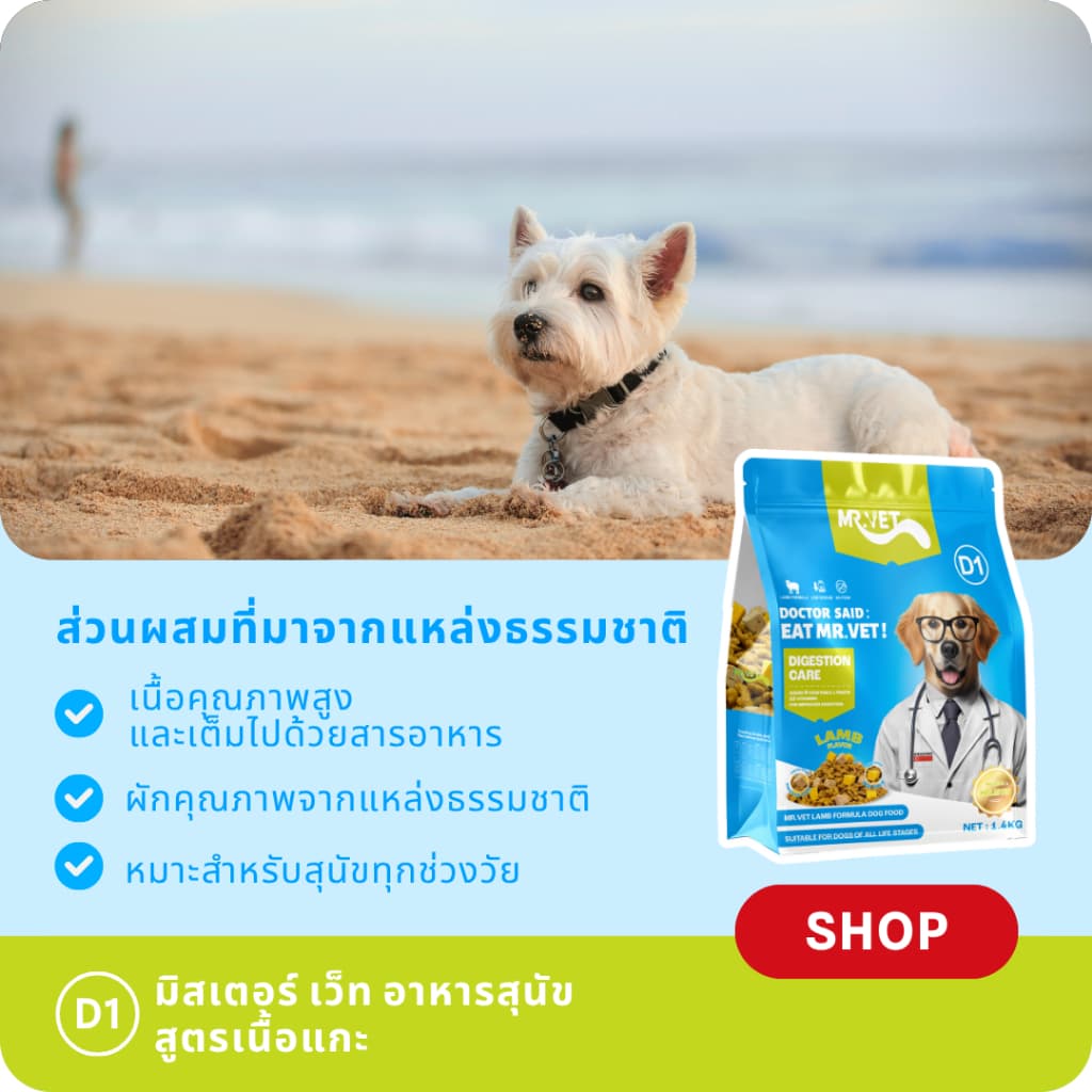 MrVet D1 อาหารสุนัข 50G อาหารสุนัขที่มีคุณค่าทางโภชนาการครบถ้วนสําหรับย่อยอาหารและการดูดซึมที่ดี รูปที่ 6