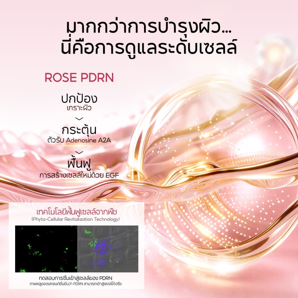 PAPA FEEL Radiance Firming Nourishing Serum Spray 100ml เติมความชุ่มชื้น · ปลอบประโลม · กระชับ · โกลว์| ก่อนและหลังแต่งหน้า | ผิวฉ่ำไม่เหนียว รูปที่ 4