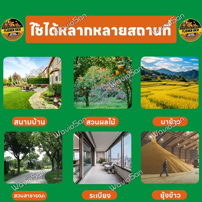 นกได้กลิ่นแล้วบินหนีไปที่ไล่นก ก้อนไล่นก ไล่นกพิราบ ยาไล่นก ไล่นกได้ง่าย ทำจากสารสกัดธรรมชาติ ไม่เป็นอันตราย รูปที่ 8