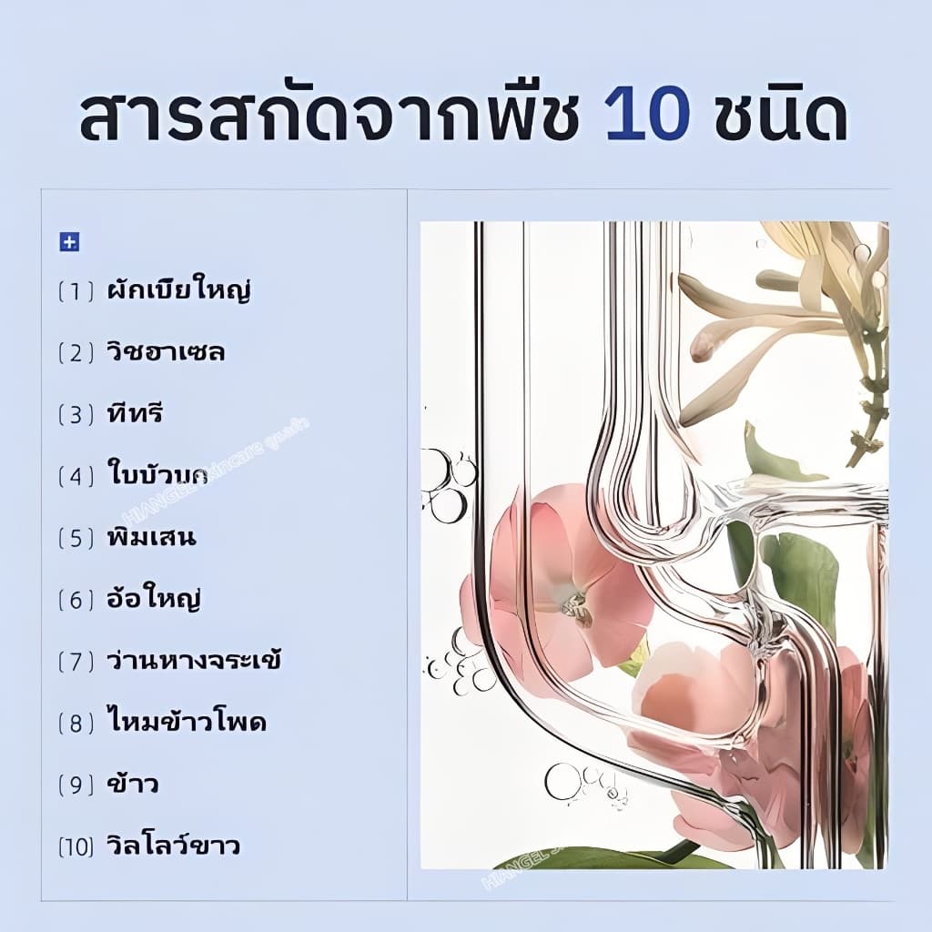 เอสเซนส์รักษาสิวไนอะซินาไมด์ กำจัดสิวได้อย่างมีประสิทธิภาพและรวดเร็ว บรรเทาอาการอักเสบ ลดรอยแผลเป็นจากสิว การควบคุมน้ำมัน การป้องกันการเกิดสิวซ้ำ Niacinamide Acne Treatment Serum Hiangel รูปที่ 4