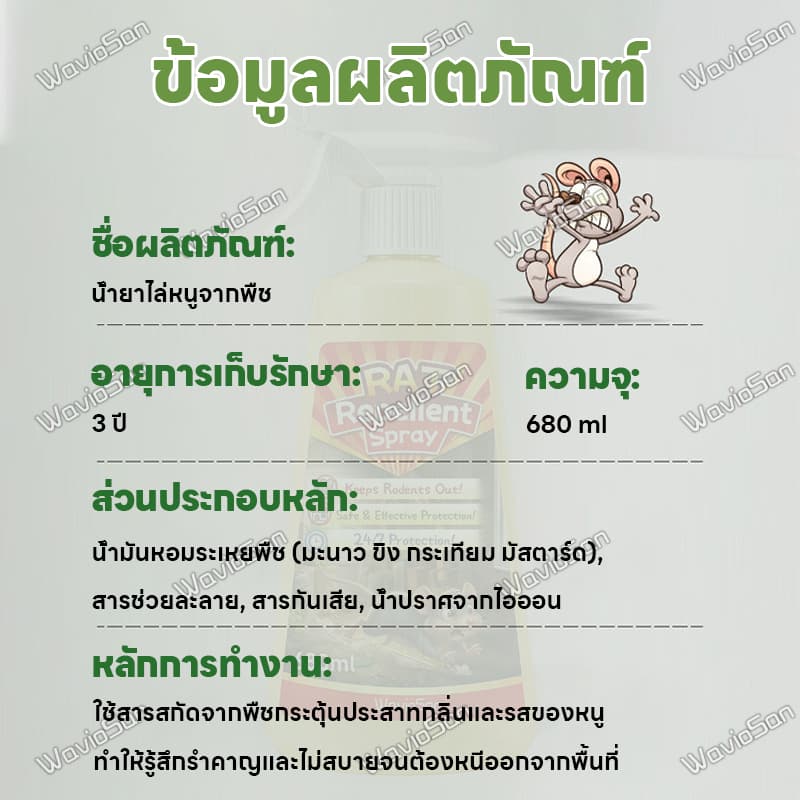 ขับไล่หนูอย่างต่อเนื่องUM สเปรย์ไล่หนู ยาไล่หนู เจลไล่หนู 680ml เหมาะสำหรับรถยนต์ ห้องเครื่อง และใช้ภายในบ้าน สูตรปลอดภัย รูปที่ 9