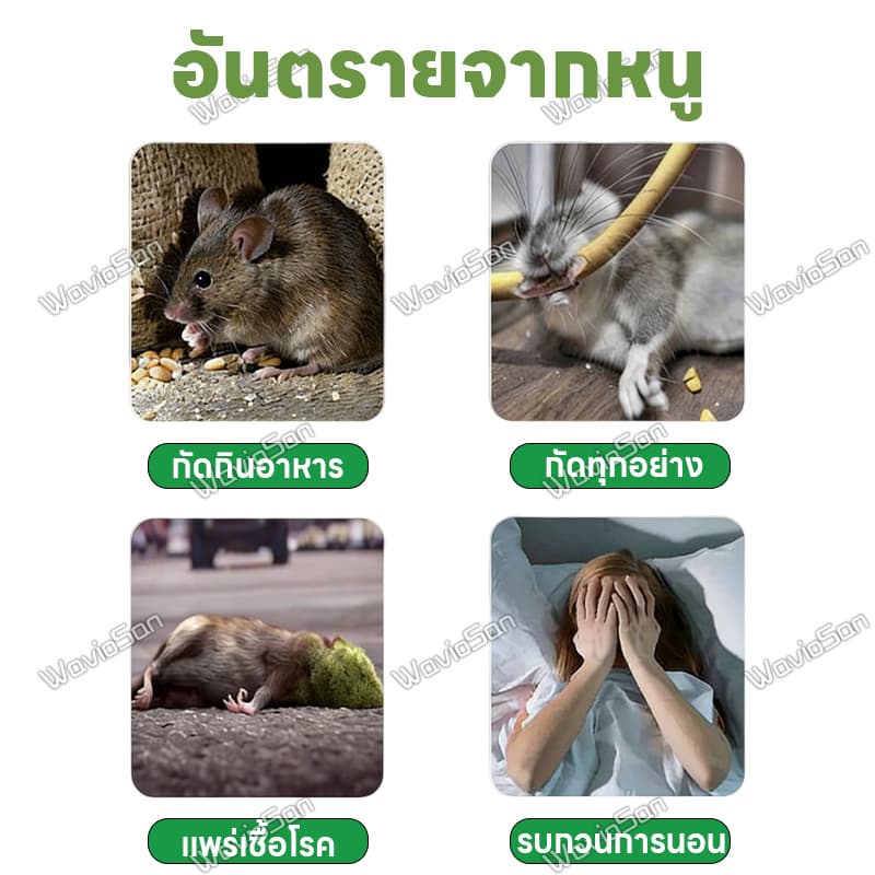 ขับไล่หนูอย่างต่อเนื่องUM สเปรย์ไล่หนู ยาไล่หนู เจลไล่หนู 680ml เหมาะสำหรับรถยนต์ ห้องเครื่อง และใช้ภายในบ้าน สูตรปลอดภัย รูปที่ 2
