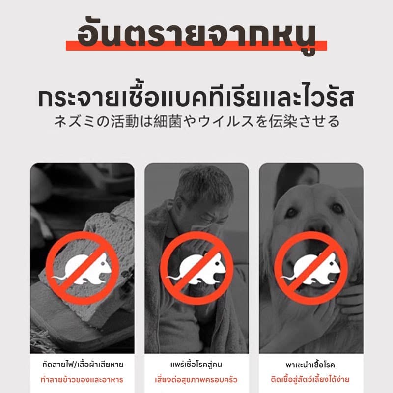 ไล่หนูไกลถึง 500 เมตร ปลอดภัยใช้งานง่าย มีประสิทธิภาพสูง-MM- ไล่หนู กำจัดหนู ยาไล่หนู ไล่หนูตลอด 24 ชั่วโมง เจลไล่หนู รูปที่ 6